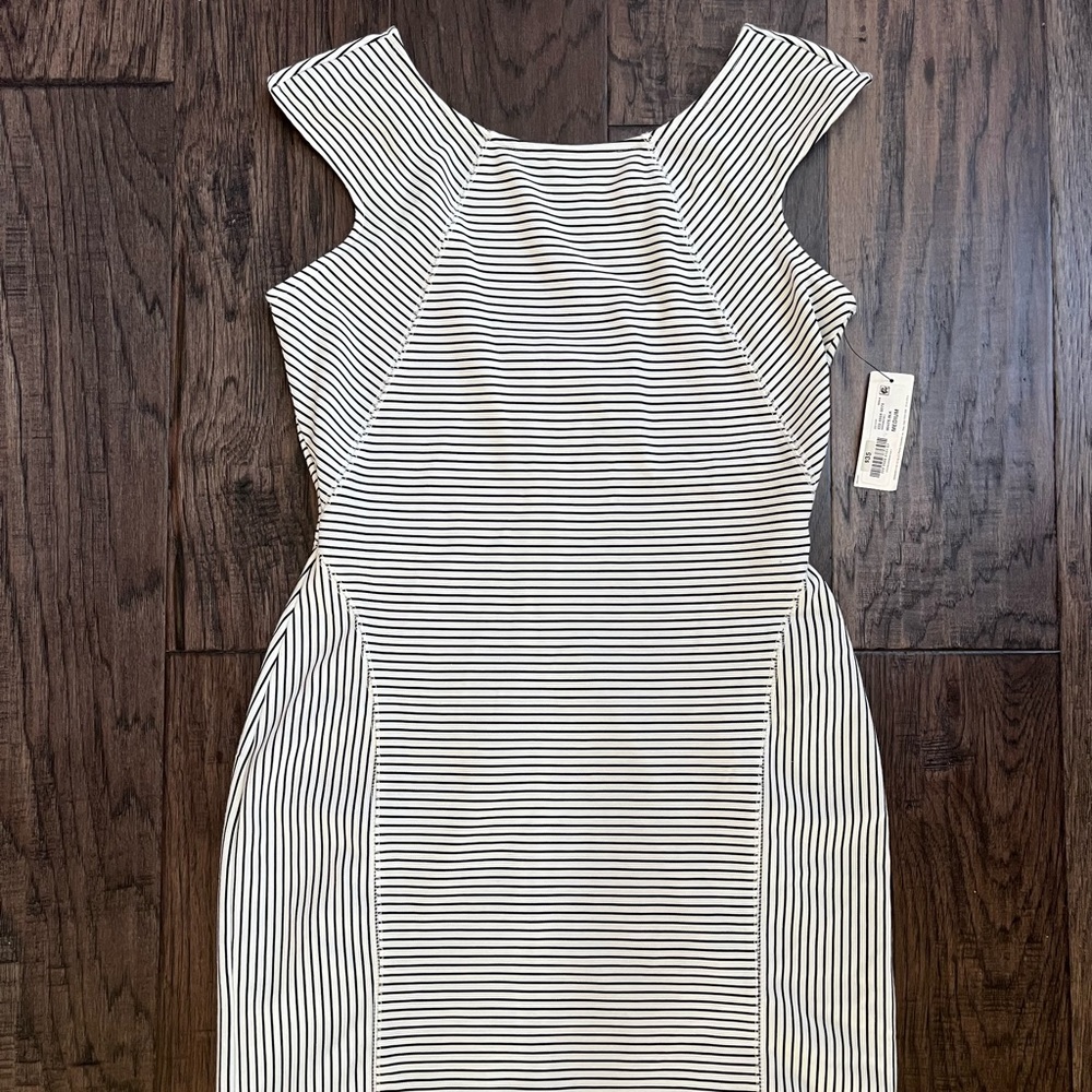 NWT Striped Bodycon Contoured Zip Back Dress